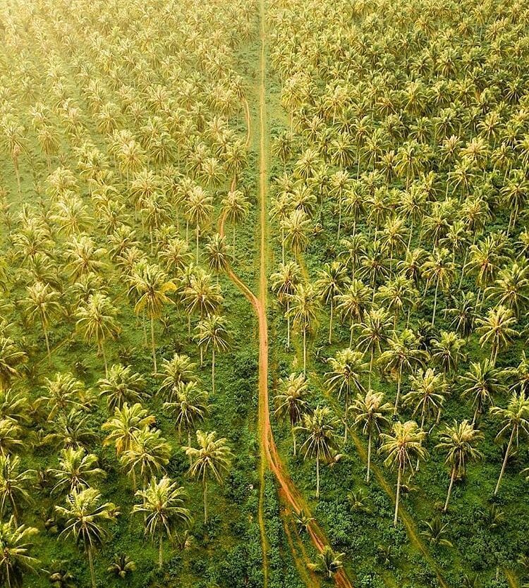 We bet you don't know this place is exist. Describe this aerial photo with one w...