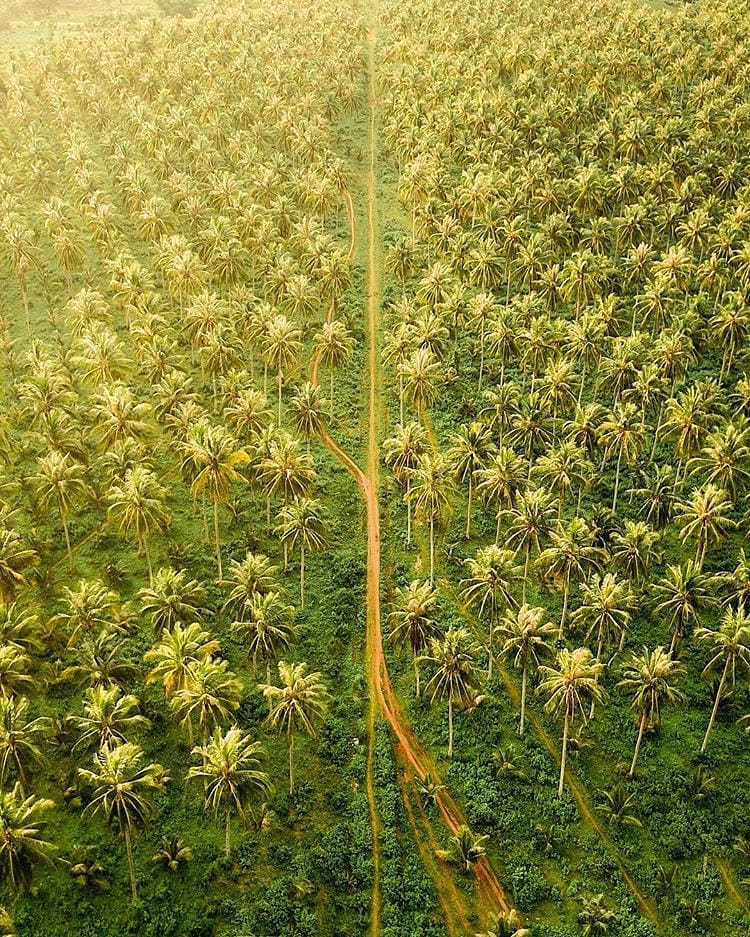 We bet you don't know this place is exist. Describe this aerial photo with one w...