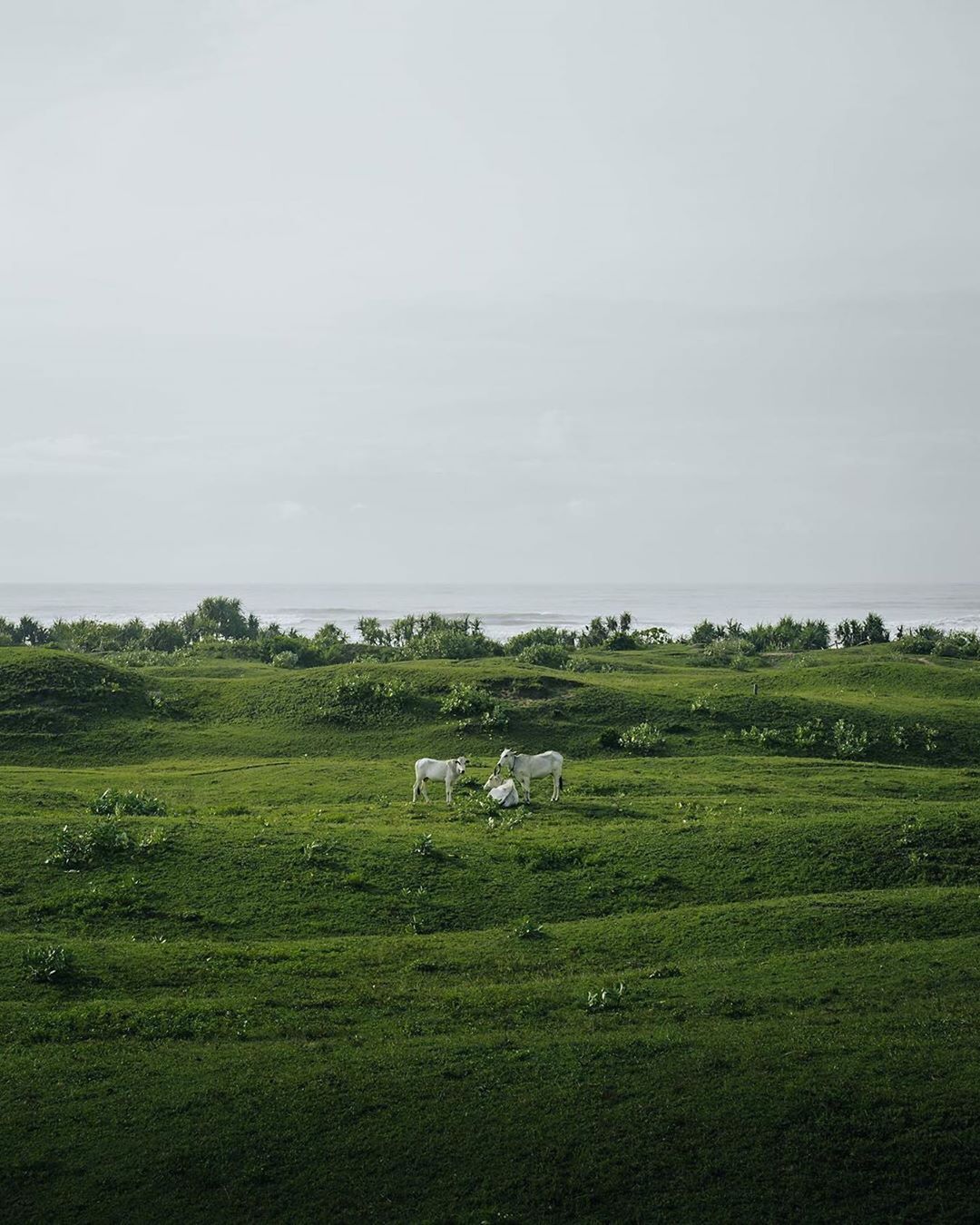 Jelajah Wisata Sukabumi We have no nature related quotes for - Jelajah Wisata Sukabumi - We have no nature-related quotes for this. Sometimes we just don&rsquo;t need one. So ...