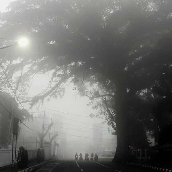 When everyone else is sleeping soundly, some choose to go out and feel the chill...