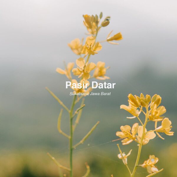 #es_destination 
Pasir Datar adalah sebuah nama desa yang teletak di Kecamatan C...