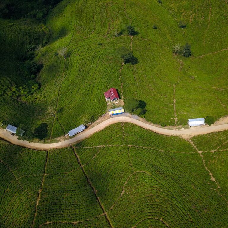 Kebun teh ini merupakan salah satu destinasi wisata alam yang wajib dikunjungi b...