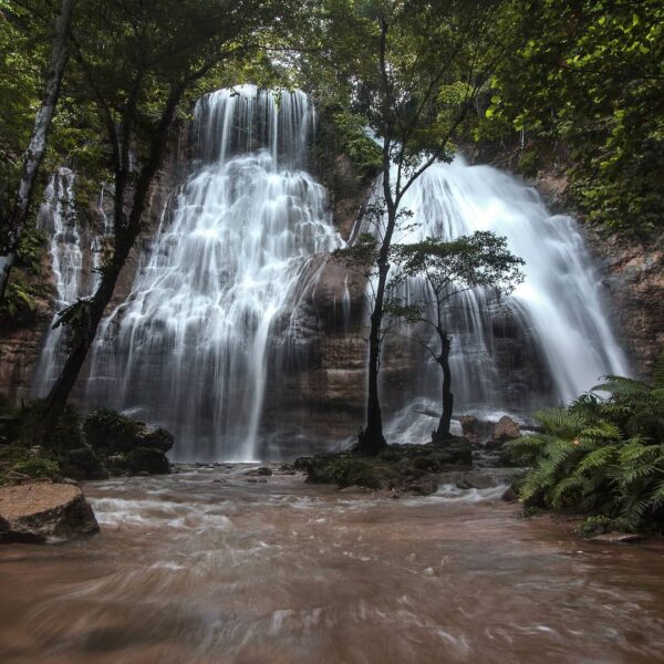 Letaknya tersembunyi di balik rimbunnya pepohonan hutan Biak Utara. Jauh dari ka...