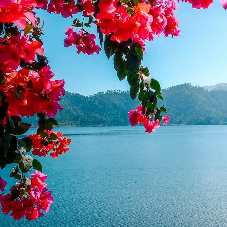 Matahari pagi selalu tampil cantik di Telaga Ngebel, Ponorogo, Jawa Timur. Meski...