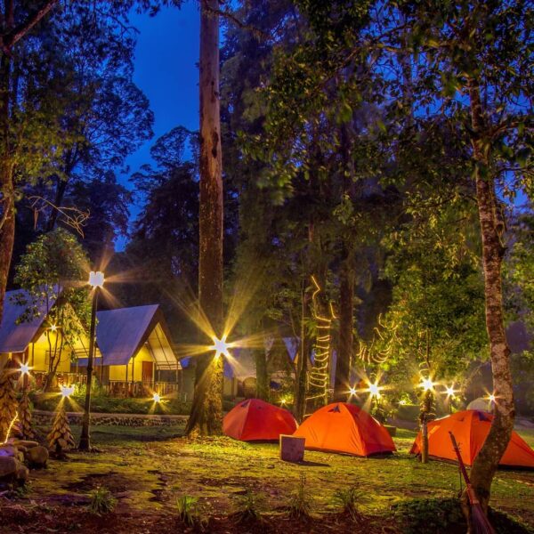 Mau ngerasain glamping di tengah alam Magetan? Pengalaman seru ini bisa Sobat Pe...
