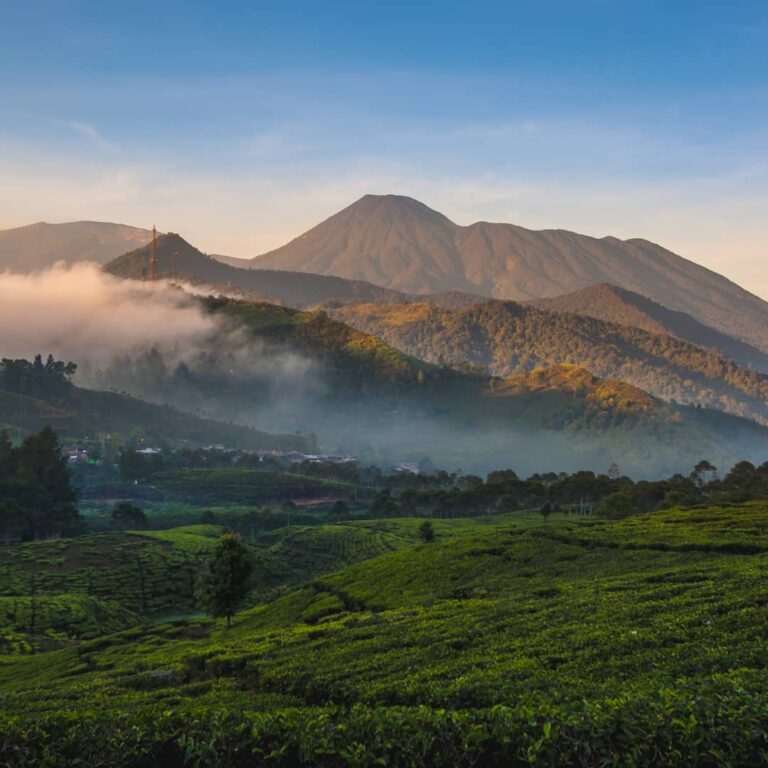 Melakukan pendakian gunung saat musim hujan penuh resiko. Mulai dari ancaman hip...