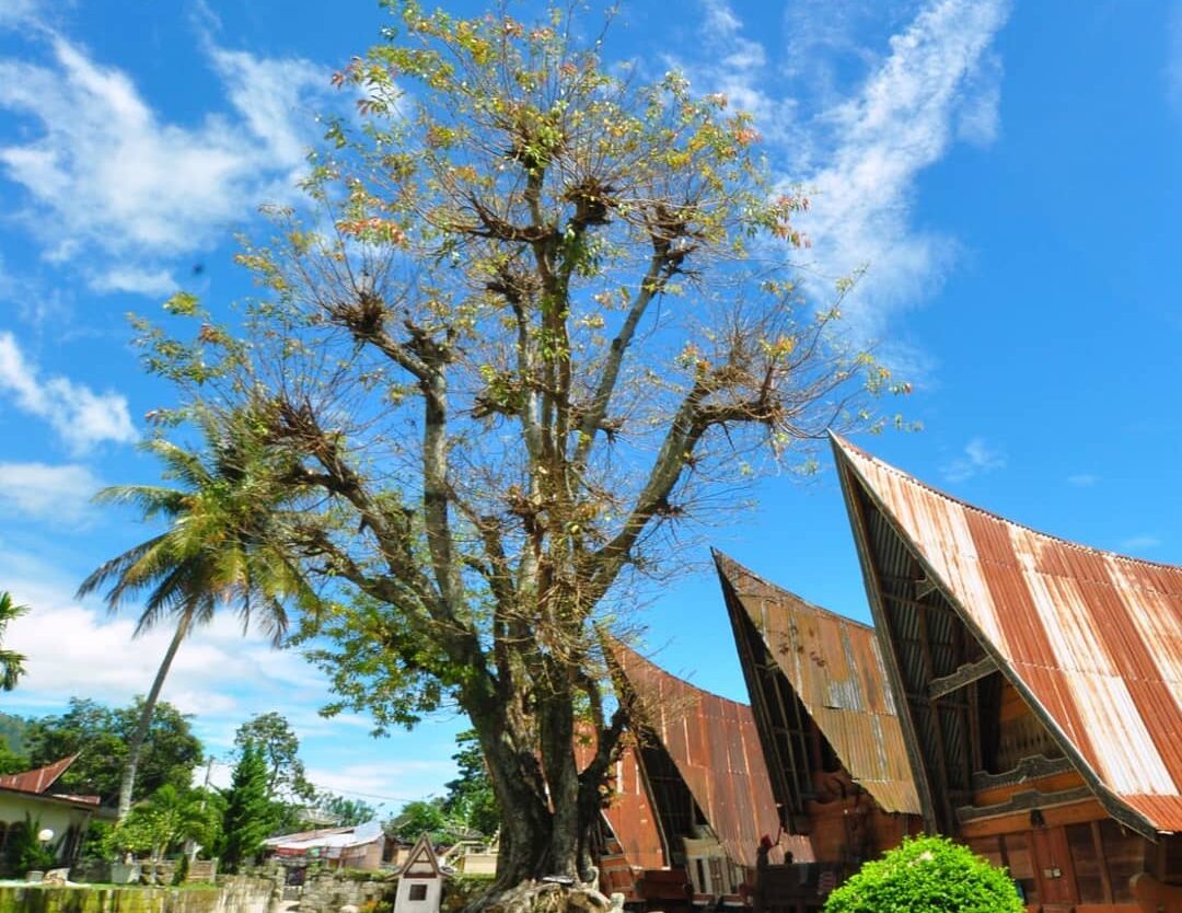 Perkampungan yang dikelilingi batu besar dan disusun bertingkat ini akan membuat...