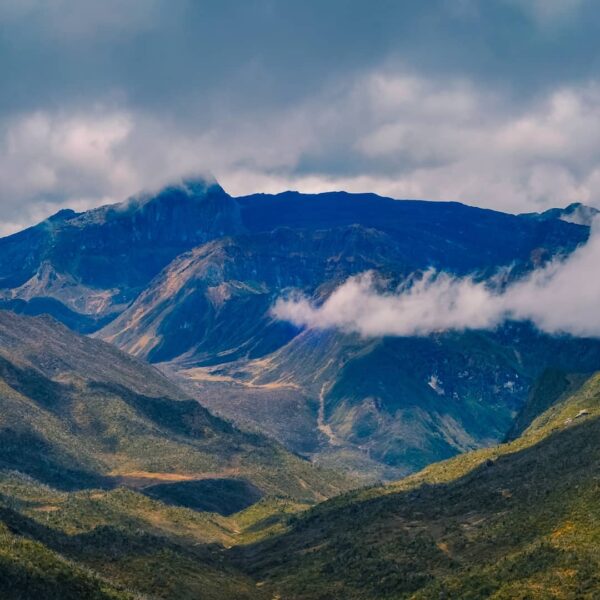 Punya mimpi menaklukkan Gunung Jaya Wijaya di Papua? Puncak Trikora adalah salah...