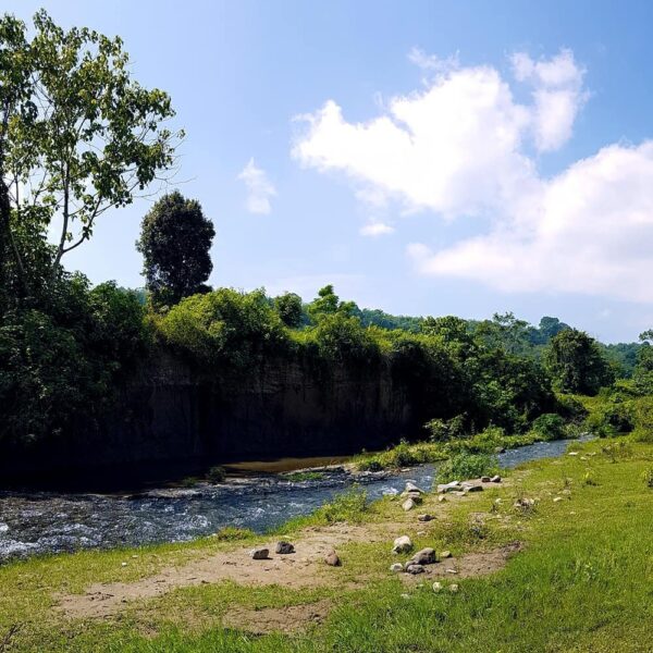 Saat berkunjung ke Bukittinggi, melipirlah sebentar ke Tabiang Takuruang! Pesona...