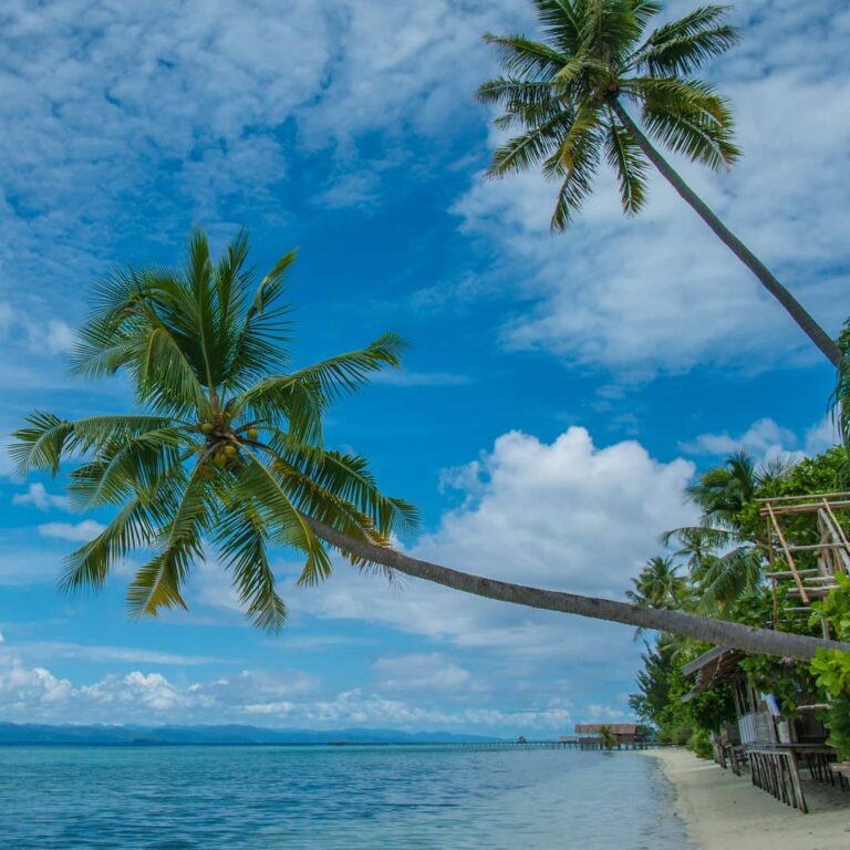 Siapa yang tak mengenal Raja Ampat, surga kecil di ujung timur Indonesia. Keinda...
