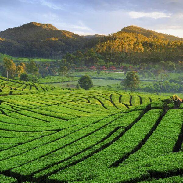 Weekend ini sudah punya tujuan ke mana, Sobat?
. 
Teruntuk kamu yang di Jawa Bar...