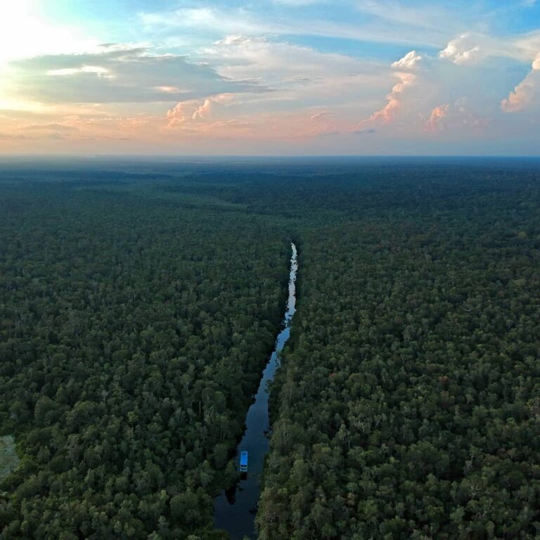 Yuk, menyusuri Sungai Kumai dan nikmati suasana asri di sana!
. 
Sungai Kumai me...