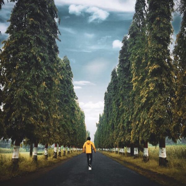#explorejogja photo today by  taken around Ganjuran, Bantul....