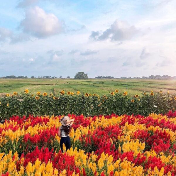 #explorejogja photo today by  taken around Pantai Samas, Bantul....