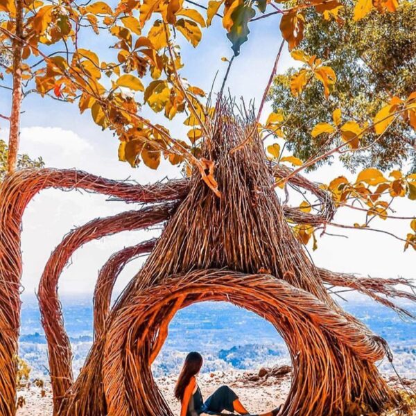 #explorejogja photo today by  taken at Hutan Pinus Pengger, Dlingo, Bantul....