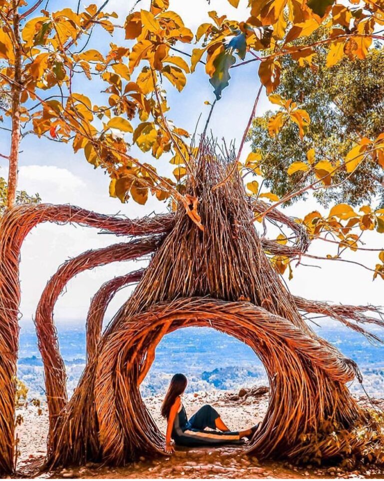 #explorejogja photo today by  taken at Hutan Pinus Pengger, Dlingo, Bantul....