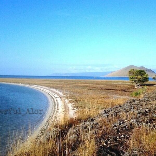 #explorealor Photo today by  Taken around at Pulau Lapang, Alor,  Nusa Tenggara ...