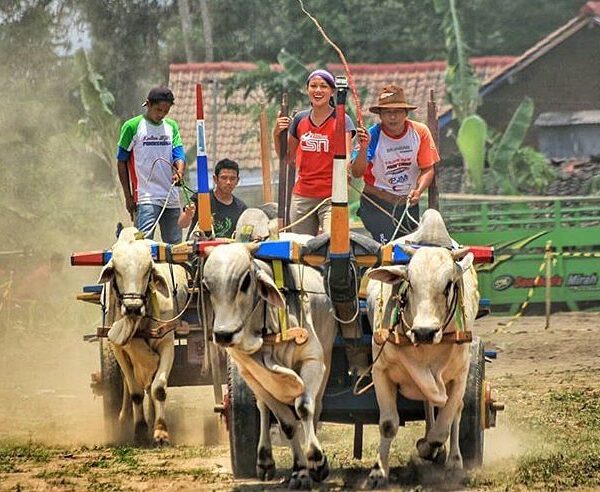 #explorejogja photo today by  covering Festival Gerobak Sapi 2018, taken around ...