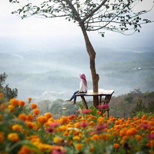 #explorejogja photo today by  taken around Hutan Pinus Asri, Dlingo, Bantul....
