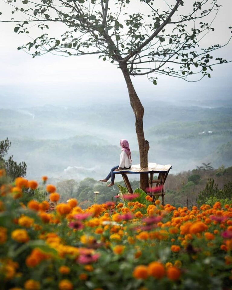#explorejogja photo today by  taken around Hutan Pinus Asri, Dlingo, Bantul....