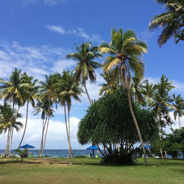 #exploreambon photo today by  taken at Latuhalat, Ambon.
#exploreindonesia...