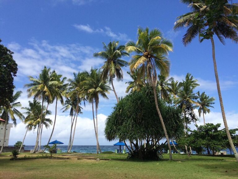 #exploreambon photo today by  taken at Latuhalat, Ambon.
#exploreindonesia...