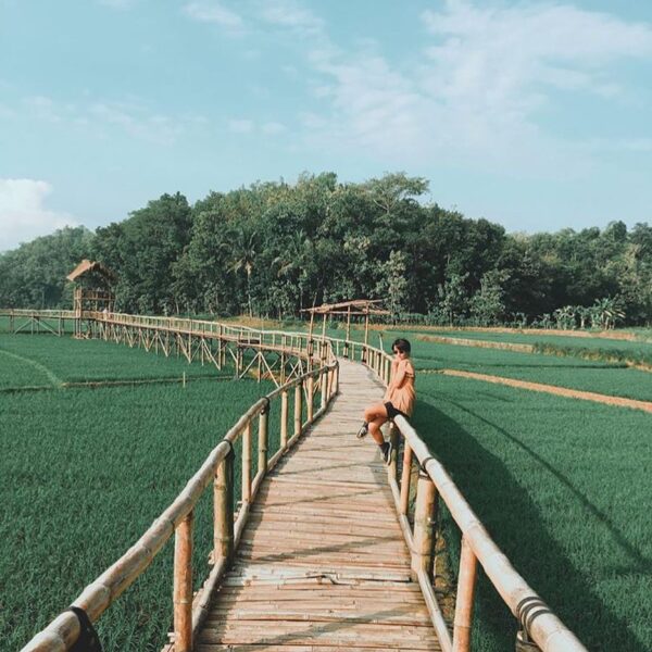 #explorejogja photo today by  taken at Area Persawahan Sukorame, Dlingo, Bantul....