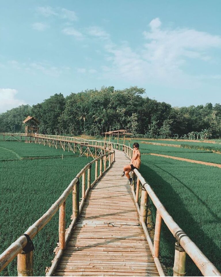 #explorejogja photo today by  taken at Area Persawahan Sukorame, Dlingo, Bantul....