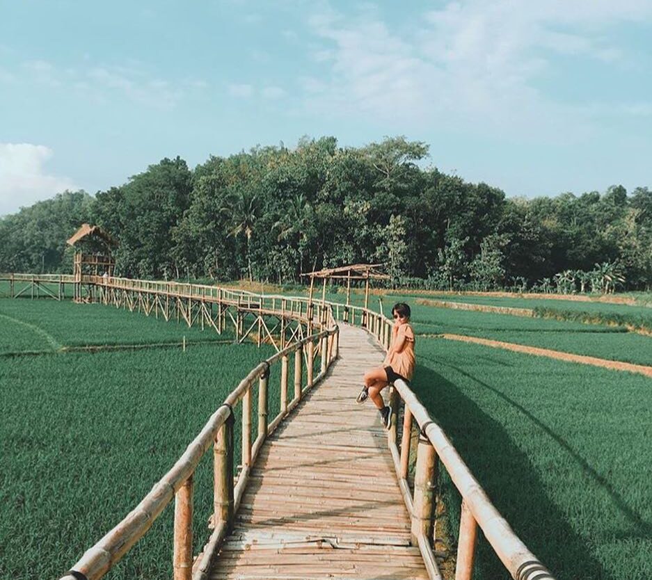 #explorejogja photo today by  taken at Area Persawahan Sukorame, Dlingo, Bantul....
