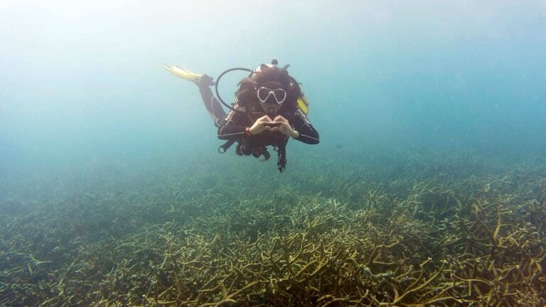 #explorebaubau Happy Sunday!
Photo today by ...