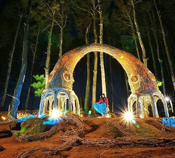#explorejogja photo today by  taken at Hutan Pinus Pengger, Dlingo, Bantul....