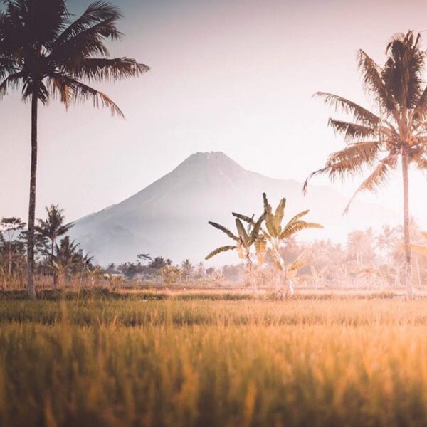 #explorejogja photo today by  taken around Cangkringan, Sleman....