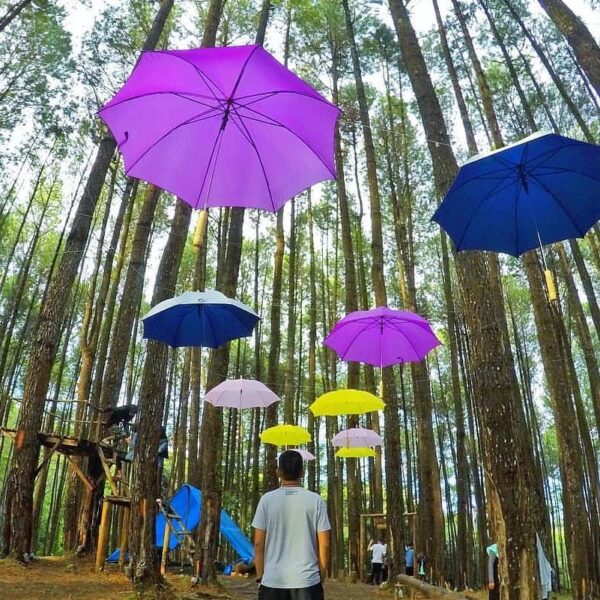 #explorebaubau Photo today by  taken at Pohon Pinus Desa Gonda...
