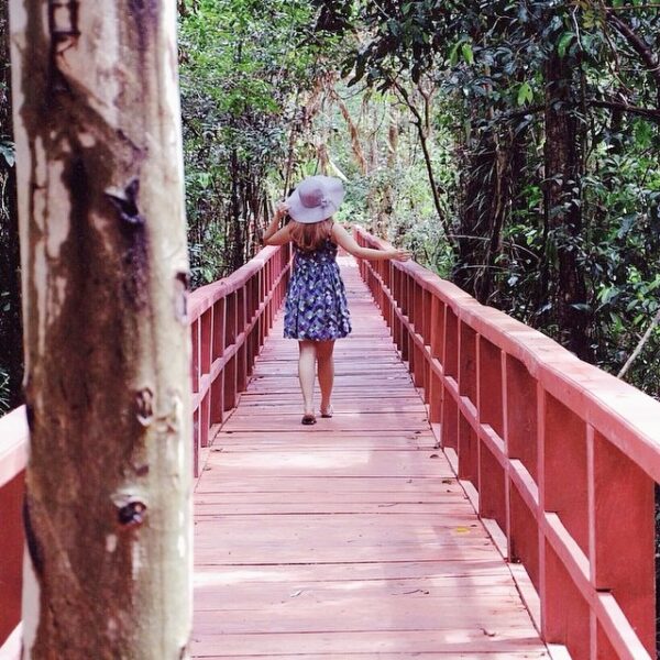 #explorebangka by  taken at Taman Keanekaragaman Hutan Pelawan, Namang, Kabupate...