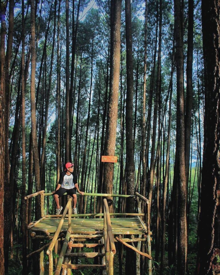 #explorebaubau Photo today by  taken at Hutan Pinus Samparona....