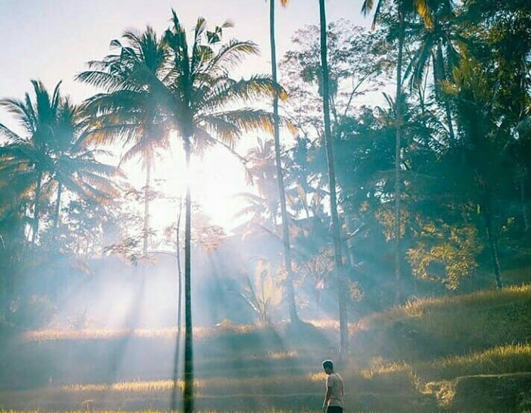 #explorebaubau Photo today by  taken at perkampungan Bali karing-karing liabuku....