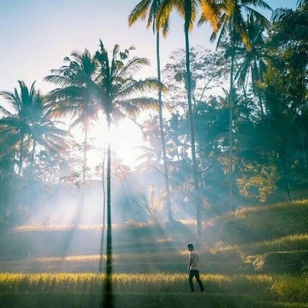 #explorebaubau Photo today by  taken at perkampungan Bali karing-karing liabuku....