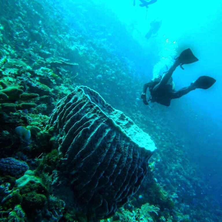 #explorealor Photo today by  Taken arround at Pulau Kepa, Alor, Nusa Tenggara Ti...