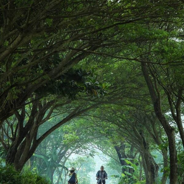 #explorejogja photo today by  taken around Pleret, Bantul....