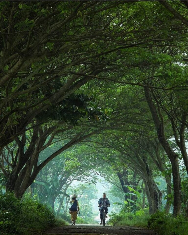 #explorejogja photo today by  taken around Pleret, Bantul....