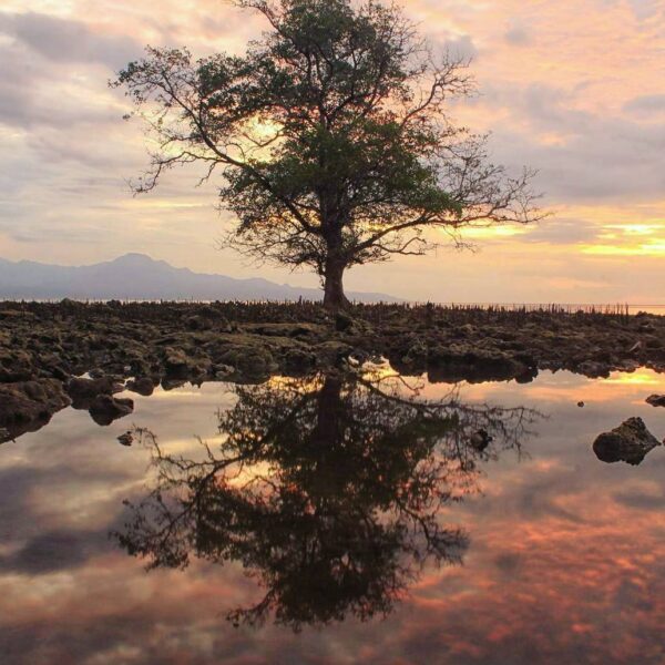 #explorebima Photo today by  taken at Sanosu Beach Ambalawi...