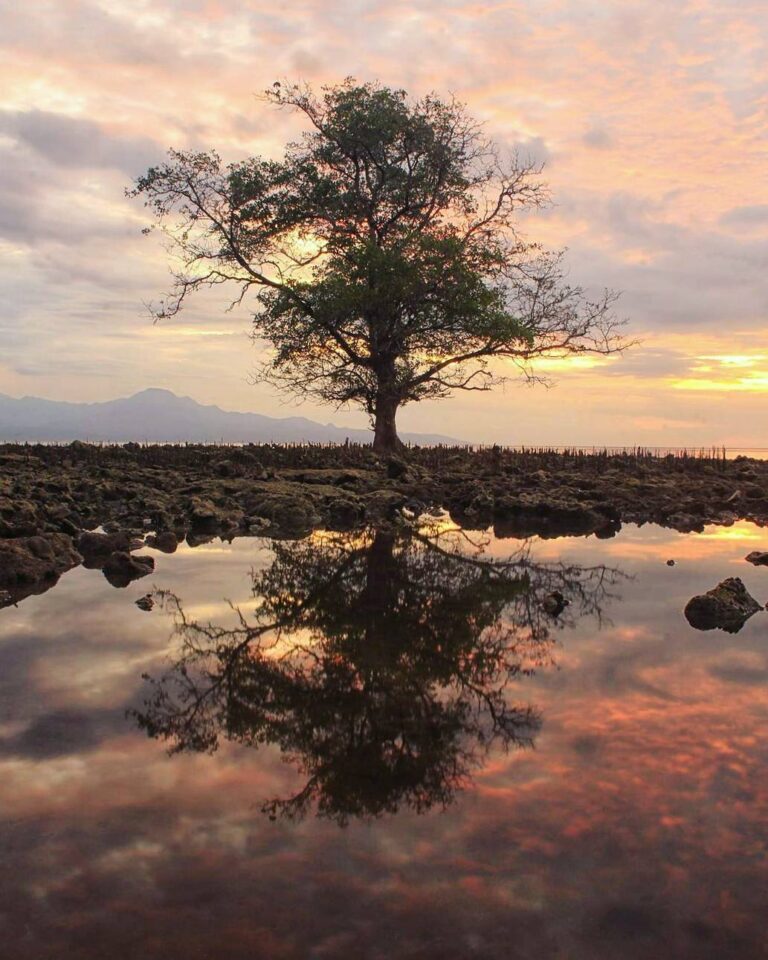 #explorebima Photo today by  taken at Sanosu Beach Ambalawi...