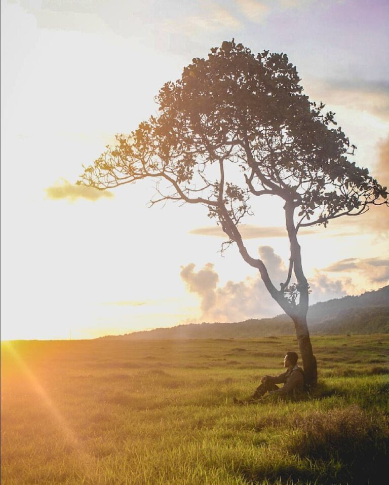 #explorebaubau Photo today by  taken at Padang Savana Lapandewa....