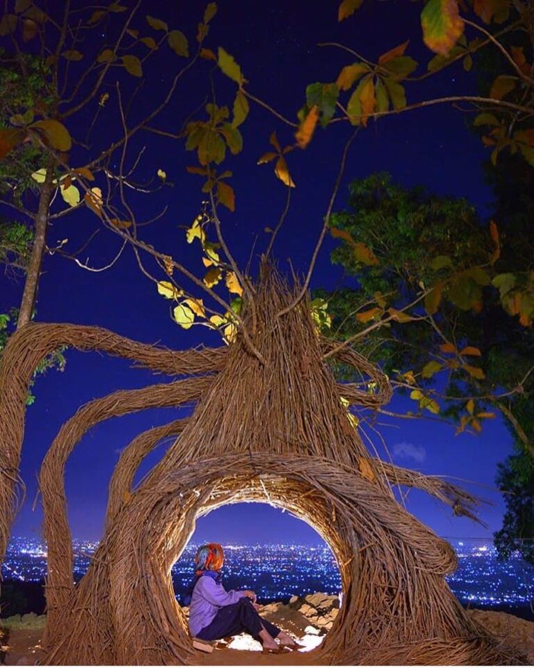 #explorejogja photo today by  taken at Hutan Pinus Pengger, Dlingo, Bantul....