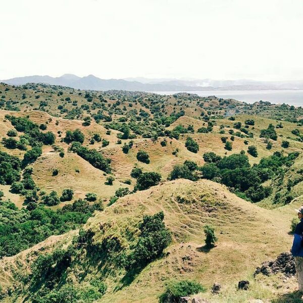 #explorebima Photo today by  taken at Around Lambu

#exploreindonesia...