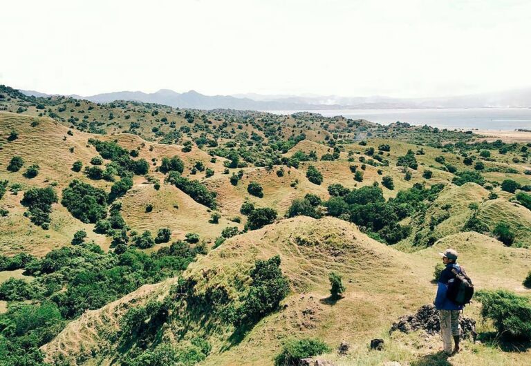 #explorebima Photo today by  taken at Around Lambu

#exploreindonesia...