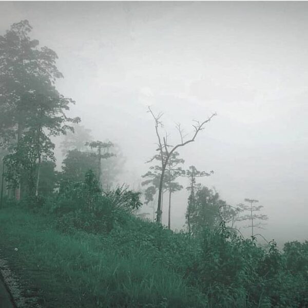 #explorebaubau Photo today by  taken at jalan poros kapontori....