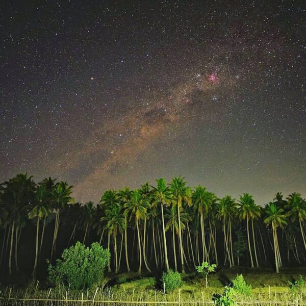 #explorebima Photo today by  taken at Panda 
#exploreindonesia...