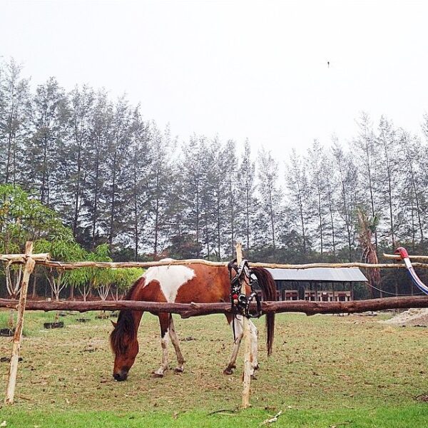 #explorebangka by 
#travelingindonesia 
Bangka on Instagram. Tag your Bangka Exp...