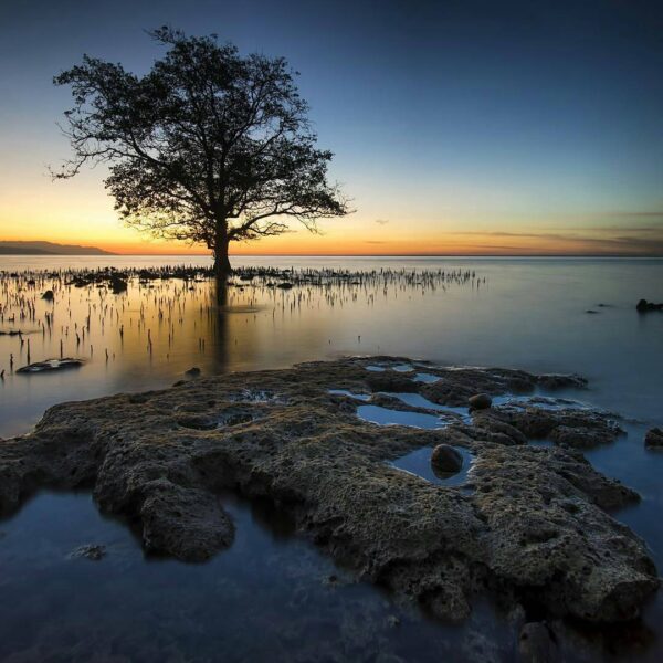 #explorebima Photo today by  taken at Sanosu Beach Ambalawi

#exploreindonesia...